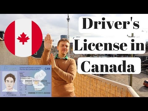 New to Canada? Step-by-Step Guide to Getting Your Ontario Driver’s Licence in Toronto
